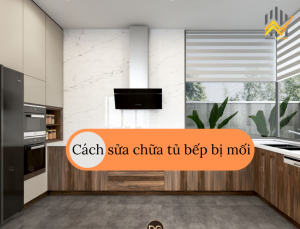 Sửa chữa tủ bếp bị mối mọt