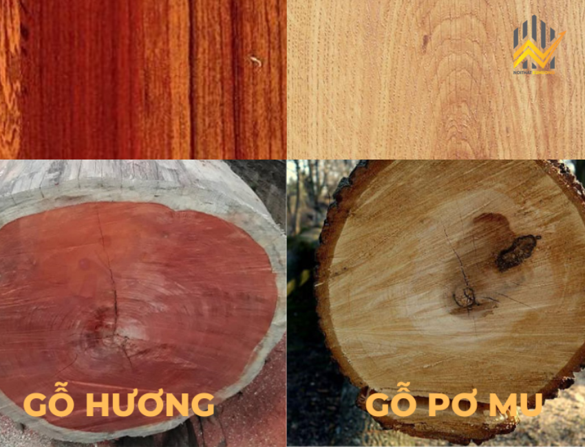 So sánh gỗ hương và gỗ pơ mu