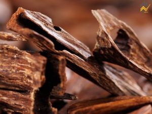 Các loại gỗ có mùi thơm