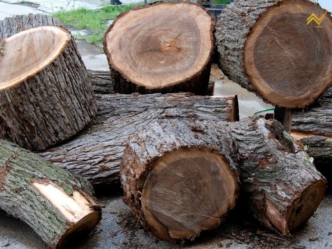 Tổng hợp các loại gỗ có mùi thơm