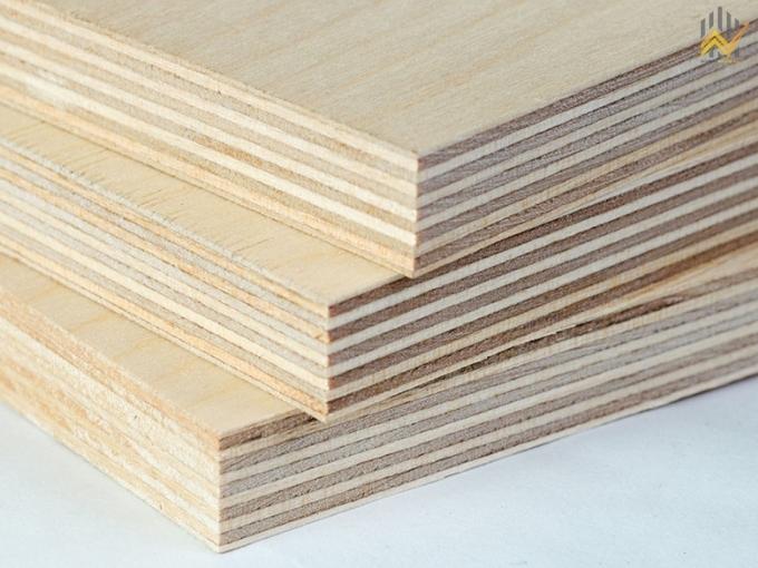 Gỗ Plywood là gỗ gì?